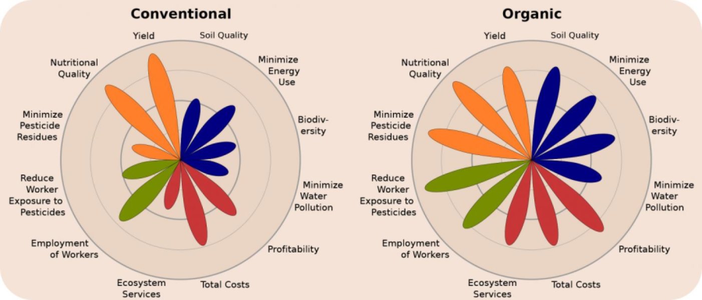 organic-agriculture